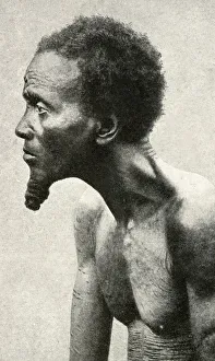 Images Dated 31st July 2018: Tribal chief, Belgian Congo, Central Africa
