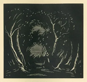 Images Dated 21st February 2019: Tribute - The Dark Wind