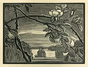 Woodcut Collection: Tribute - Memory