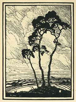 Images Dated 21st February 2019: Tribute - Oracles
