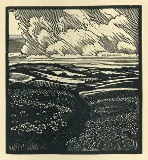 Woodcut Collection: Tribute - Poppies