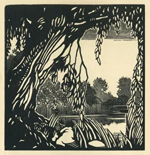 Images Dated 21st February 2019: Tribute - The Willow