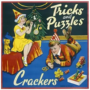 Tricks Prints: Tricks and Puzzles Christmas Crackers