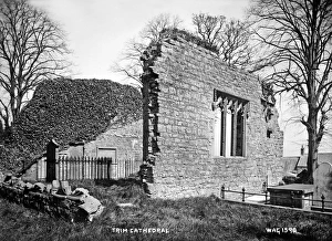 Stump Gallery: Trim Cathedral
