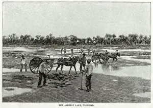 TRINIDAD ASPHALT