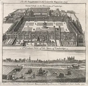 Trinity Coll. / Cambridge