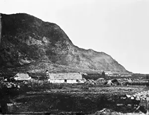 Challenger Prints: Tristan da Cunha, c. 1870