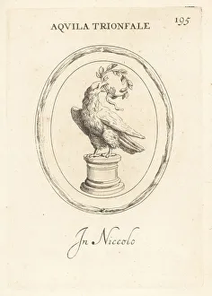 Triumphal eagle with a laurel wreath