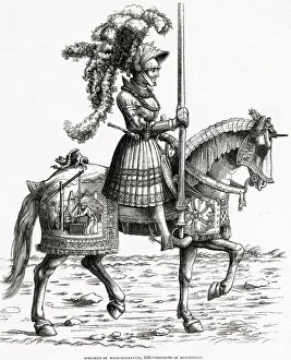 Images Dated 4th July 2019: Triumphs of Maximilian I