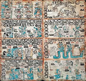 Trocortesian or Madrid Codex