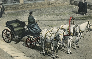 Harness Gallery: Troika on a Russian street