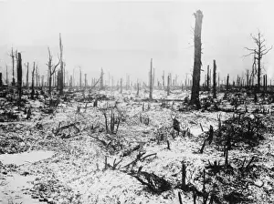 Trones Wood 1916