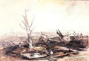 Stump Prints: Trones Wood in distance from road to Longueval, WW1