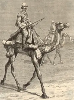 Trooper on a Camel / 1884