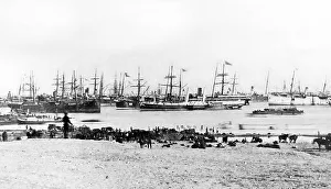 Troops disembarking at Ismailia Egypt during