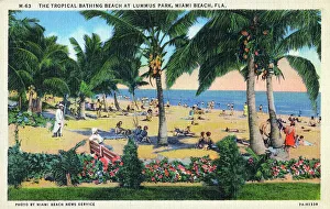 Florida Prints: Tropical Bathing Beach at Lummus Park, Miami Beach, Florida
