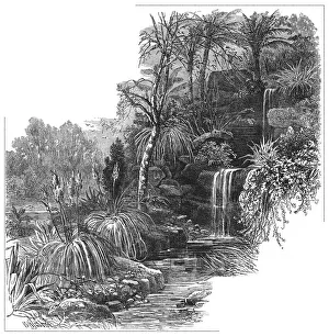 Mixture Gallery: Tropical Gardens Battersea