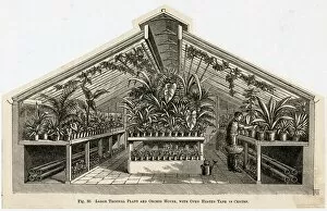 Benches Collection: Tropical plant and orchid house