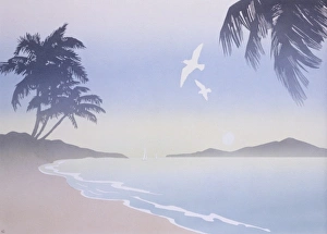 Beautiful Landscapes Gallery: A tropical shoreline