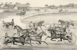 Warming Gallery: Trotters on the grand circuit: warming up