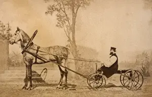 Russe Prints: Trotteur Russe 1860