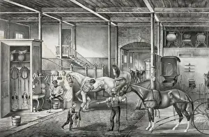 Trotting Prints: Trotting cracks at home, a model stable
