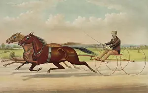 Trotter Prints: The trotting gelding Frank with J. O. Nay, his running mate