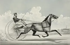 Trotter Prints: The trotting horse George Palmer driven by C. Champlin
