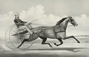 Trotter Prints: Trotting mare American Girl driven by M. Roden