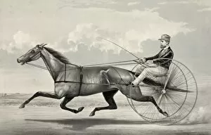 Horses Gallery: The trotting mare Goldsmith Maid driven by Budd Doble