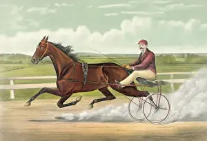 Trotter Prints: Trotting Queen Alix: record 2: 03 3 / 4