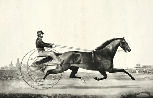 Trotting stallion Tom Moore driven by Danl. Mace: sired by H Trotting stallion Tom Moore driven by Danl. Mace: sired by H