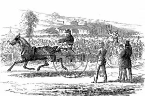 Images Dated 15th February 2005: Trotting vs. Cycling Race, Alexandra Palace, 1875