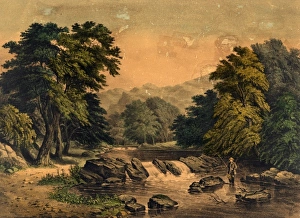 Images Dated 8th September 2011: The Trout Brook