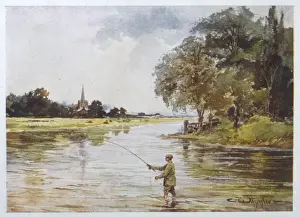 Trout Fishing / Hampshire