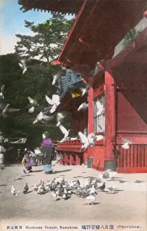 Kamakura Prints: Tsurugaoka Hachiman-gu - Shinto Shrine, Kamakura, Japan