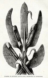 Hooks Gallery: Tuaghs (from the Gaelic, tuagh-chatha), also known as Lochaber axes, a type of poleaxe