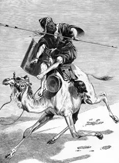 Tuareg Warrior - North Afrca