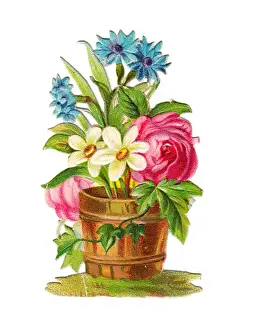 Tubs Prints: Tub of assorted flowers on a Victorian scrap