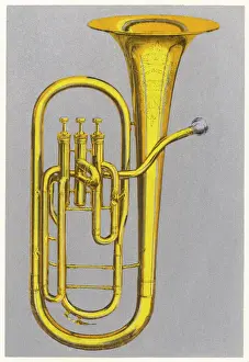 Tuba Prints: Tuba Colour Illustration