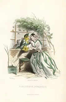 Tuberose and jonquil daffodil flower fairies