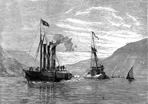 Ferrol Collection: Tug Anglia and Obelisk Ship Cleopatra, off Ferrol, 1878