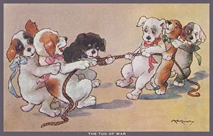 Images Dated 9th November 2020: Tug of War