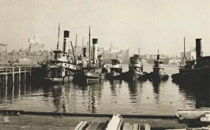 Tugs Prints: Tugs in New York