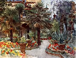 Tuscan Prints: Tulips and Wistaria in the garden of a Florentine Villa