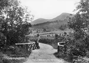 Tullybranagan, Newcastle