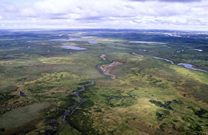 Aerials Gallery: Tundra - aerial view from a helicopter