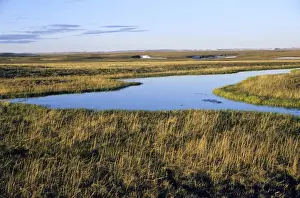 Remaining Prints: Tundra view with a small lake in foreground