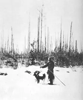 Tunguska / Kulik