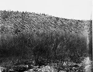 Atmosphere Prints: Tunguska meteorite damage, Siberia